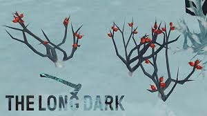 I've chosen the easiest recipe. How To Make Rose Hip Tea In The Long Dark The Long Dark