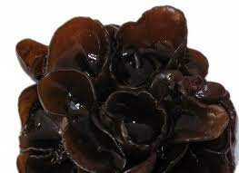 Son code ean est le 4001639030013. Https Www Asiamarkt Halong De Mu Err Pilze Black Fungus Getrocknet 50g