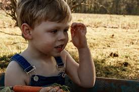 PCVS and RPCVS lesson planning together?