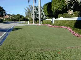 Read how superior seeding results are gained by using soil³ compost as a treatment over turfgrass seed, instead of wheat straw. Empire Zoysia Vs St Augustine Lawn For Fishhawk Ranch Tampa Florida