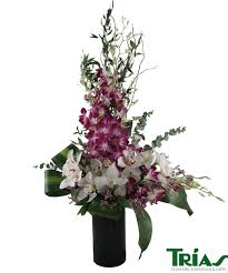 Maybe you would like to learn more about one of these? Trias Flowers Gifts 6520 Sw 40th Street Miami Fl Florists Mapquest