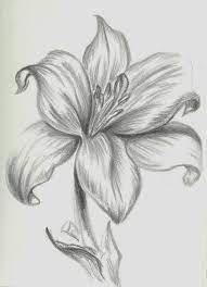 Pin On 000 0 0 0 A Dibujar 2