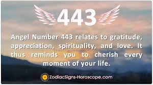 Angel Number 443 Meaning: Be Grateful | 443 Angel Number