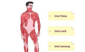 Kunci jawaban buku senang belajar matematika kelas 4, kelas 5, kelas 6 kurikulum 2013 revisi tahun 2018. Kunci Jawaban Tema 1 Kelas 5 Sd Dan Mi Halaman 107 109 111 Dan 112 Subtema 2 Manusia Dan Lingkungan Pembela Kabar Lumajang