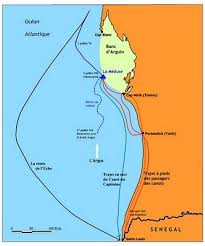 Decouvrir Et Comprendre Une Histoire Du Banc D Arguin