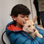 It costs more to take care of pets in Colorado than it used to