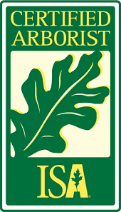 We did not find results for: Https Tarrant Tx Tamu Edu Files 2019 09 Certified Arborist Training November 2019 Pdf