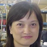 60+ "Siu Lin" profiles