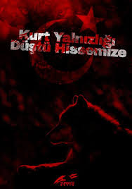Tc Yunus Adiguzel Turkiye Turkler Ve Kurt