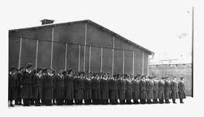 The Violence of Female Guards in Nazi Concentration Camps (1939-1945):  Reflections on the Dynamics and Logics of Power | Sciences Po Mass Violence  and Resistance - Research Network