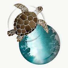 Watercolor Painted Sea Turtle Transparent Png Premium Image By Rawpixel Com Niwat Turtle Watercolor Sea Turtle Watercolor Fish Drawings