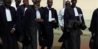 Fibem-Conseil - Expertise Juridique