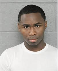 ᐅ Illinois Criminal Records 2009-2025