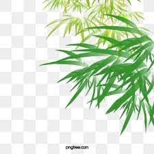 Bamboo Leaves Green Leaf Png Transparent Clipart Image And Psd File For Free Download Bamboo Leaves Leaves Cartoon Coloring Pages