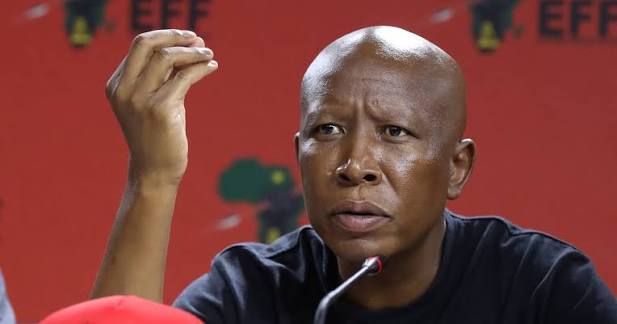 'Mkhwanazi is very sensitive': Malema says KZN top cop can't take criticism