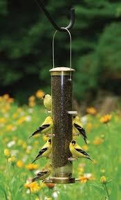 Bird Netting For Garden Lowes Attracting Birds To Your Garden Finch Feeders Bird Feeders Lowes Bird Feeders