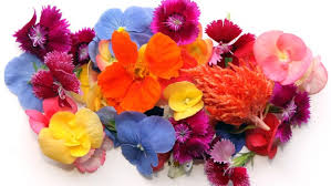 Maybe you would like to learn more about one of these? Tiny But Distinctive Microgreens More Than A Garnish