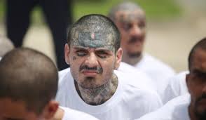 How the White House suckered liberals by calling MS-13 gang members  "animals"