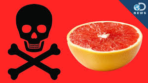 Image result for Grapefruit