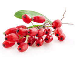 En, effet, dès que l'on réduit son apport calorique et que l'on perd du poids, les risques de déficiences vitaminiques et minérales sont accrus et surtout. Baies De Goji Proprietes Bienfaits Et Utilisations Natura Force