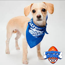 This is fabulous! This was when Phx was the center