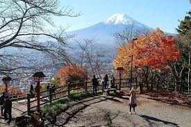 Autumn Color Reports 2018 Mount Fuji Beyond Peak