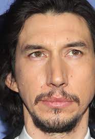 Central heterochromia is more noticeable in irises containing low amounts of melanin. The Adam Driver Files On Twitter Central Heterochromia When There Are Two Colors In The Same Iris The Central Pupillary Zone Of The Iris Is A Different Color Than The Mid Peripheral Ciliary