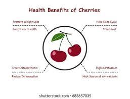 You'll gain several health benefits when you make cranberry juice your choice at the grocery store. Health Benefits Cherries Cherries Health Benefits Stock Vector Royalty Free 683657035