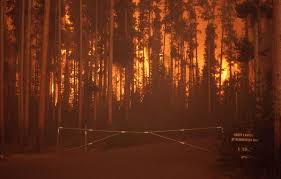 Las nie obroni się sam (archiwum). Pozary Lasow W Yellowstone 1988 Wikipedia Wolna Encyklopedia