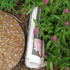 Furniture covers garden benches seating. Learning To Live With Earwigs Laidback Gardener