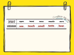 Lesson plan for 1st grade prepared by mrs. The Five Senses Free Activities Online For Kids In 1st Grade By Sumayya Alshehhi
