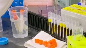 Decisions about testing are made by state and local health departments or healthcare providers. Who Will Get The Covid 19 Vaccine First In New York