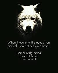 Dog Wolf Animal Inspirational Motivation Quote I See A Friend And A Soul Nature Quotes Animal Quotes Wolf Quotes