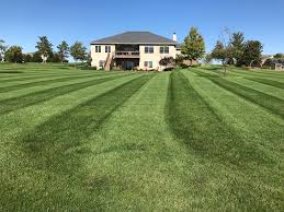 We did not find results for: New Member W A Lesco Fertilizer Question Lawnsite Is The Largest And Most Active Online Forum Serving Green Industry Professionals