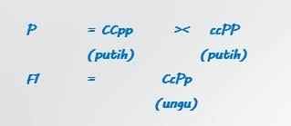 Check spelling or type a new query. Soal Dan Pembahasan Pola Pola Hereditas Atau Pola Pola Pewarisan Sifat Bsb