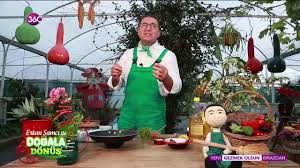 Evde kötü kokularla baş etmek için neler yapabilirsiniz? Dogala Donus Evdeki Kotu Kokulara Dogal Cozumler 28 11 2018 Youtube