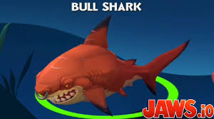 Carnívoros desde el útero un tiburón toro es capaz de alcanzar hasta 3 metros y medio de largo y pesar alrededor de los. Jaws Io Bull Shark Tiburon Toro Mi Tiburon Favorito Del Juego Nueva Zona Sea Of Japan Youtube