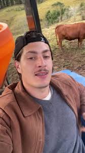 Agronegócio e Bolsonaro: Análise do Impacto