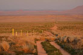 MYCELX Deploys Chemical Free Water Treatment in Permian Basin