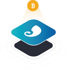 This because of their digital nature and the necessity to store so bitcoin wallets do not literally store your coins but, instead, create a secure access point that allows you to access them on the blockchain. Bitcoin Wallet Bitcoin Btc Mining Satoshi Imtoken