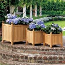 Pflanzkubel Richtig Bepflanzen In 2020 Gartengestaltung Pflanzkubel Indoor Garten