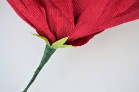 Diy paper flower template #2, paper flower backdrop, hard copy, paper flower petals. Diy Large Crepe Paper Flowers Sage To Silver