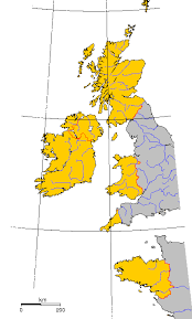 How did the ancient celtic peoples dominate nearly all of europe and beyond? Celts Modern Wikipedia