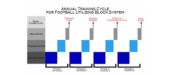 Image result for training effect schema