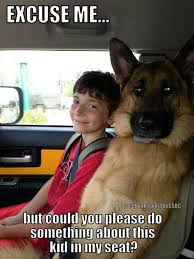 Pin By Puppyflix On My Sis Kim Funny Dogs Funny Animals German Shepherd Dogs