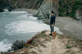 Maybe you would like to learn more about one of these? The Best Things To Do In Bodega Bay On A Weekend Getaway