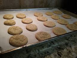 These Are Not P B Cookies With Choc Chips Or Chocolate Cookies With P B Chips These Are The O Peanut Butter Chip Cookies Cookie Recipes Chip Cookie Recipe