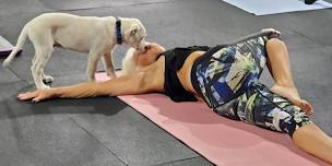 DNYP at Nitroflex Gym