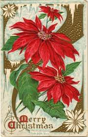 1911 Embossed Color Postcard Merry Christmas Maimeo S Memories Christmas Ephemera Christmas Flowers Christmas Postcard
