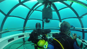 Time To Stare At A Live Feed Of This Underwater Garden Underwater Ligurian Coast Ocean